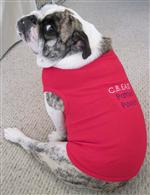 Leg Out Dog Tee 